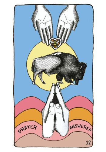 Animal Apothecary Oracle Cards